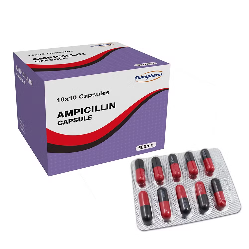 Buy Ampicillin Online